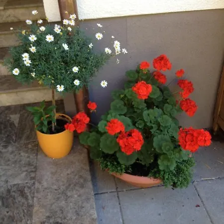 דירה Gaestehaus Schwed וואגריין