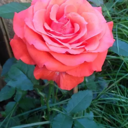 아파트 Gaestehaus Schwed